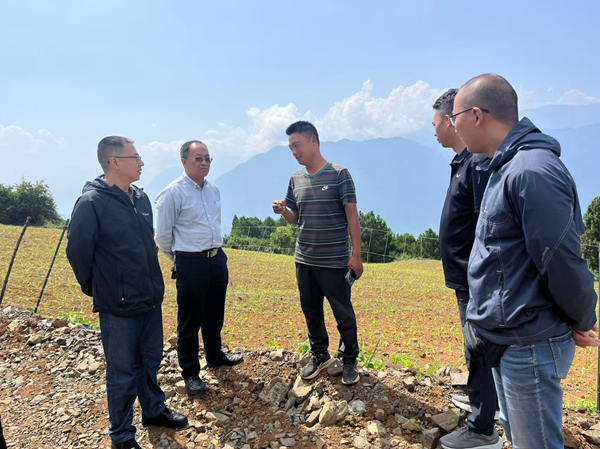 AG百家乐助力乡村全面振兴专家团队深入牛角湾镇开展中药材种植指导